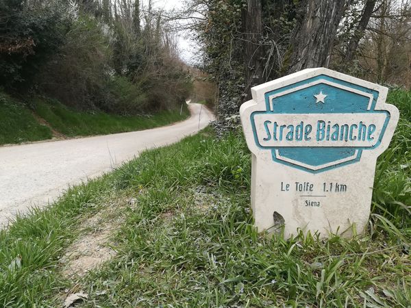 brevetto-colline-senesi-le-tolfe-cippo