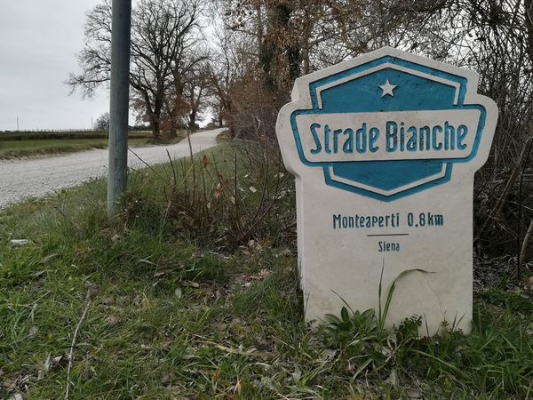 brevetto-colline-senesi-le-tolfe-cippo